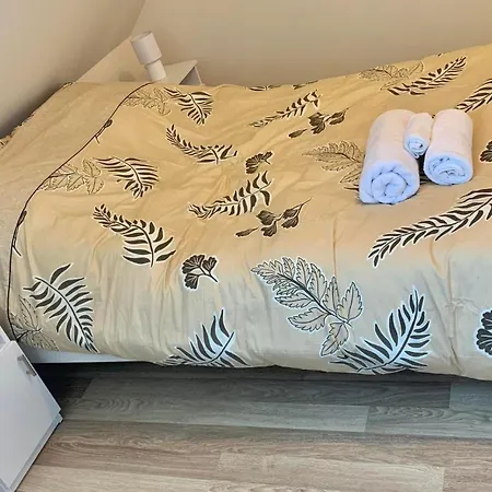 Apartament Borowik Kojszowka Zewnętrze zdjęcie