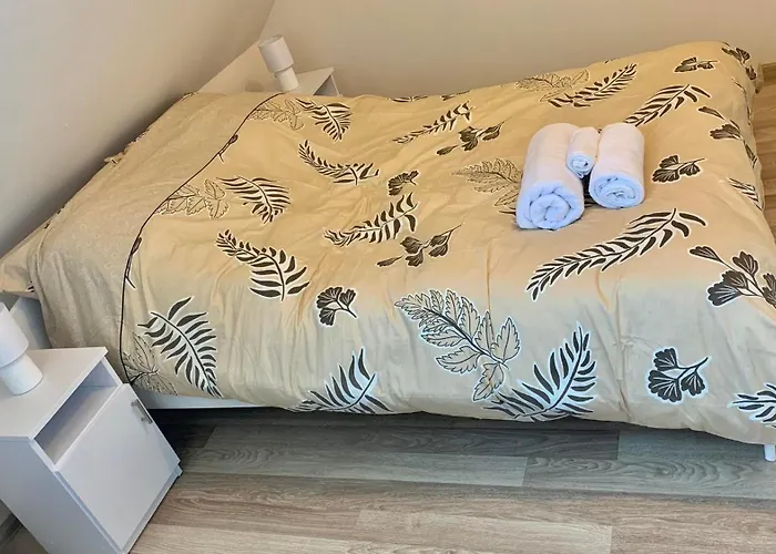 Apartament Borowik